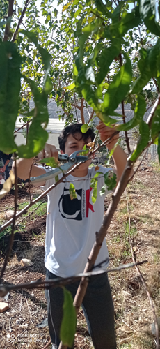 מגמת חקלאות (7).jpg